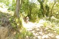 20220709-124330-[PAUxl]